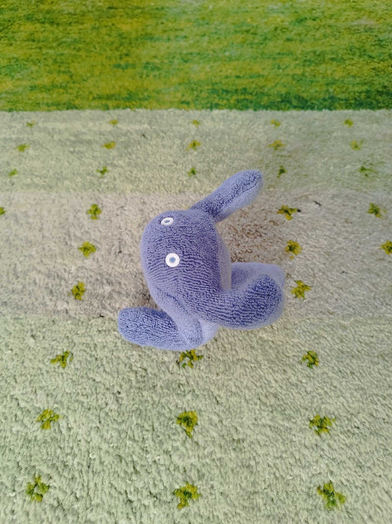 ひなこさんの新千歳空港温泉のサ活写真