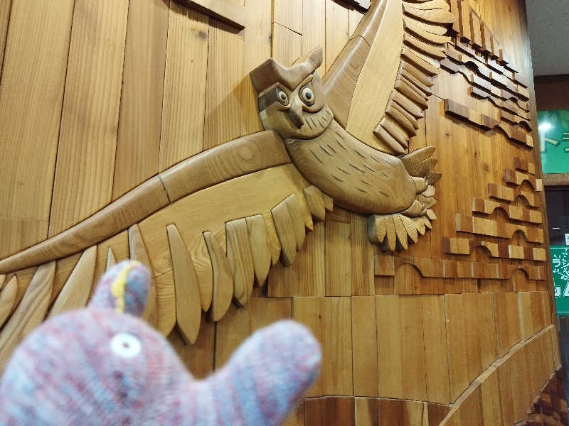 ひなこさんの赤平市 保養センターエルム高原温泉・ゆったりのサ活写真