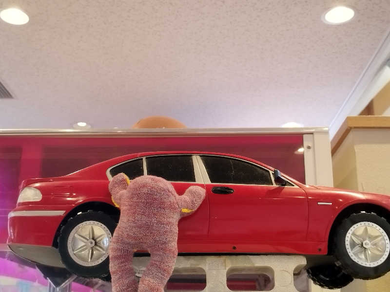 ひなこさんの天然温泉 万華の湯 (ふらのラテール)のサ活写真