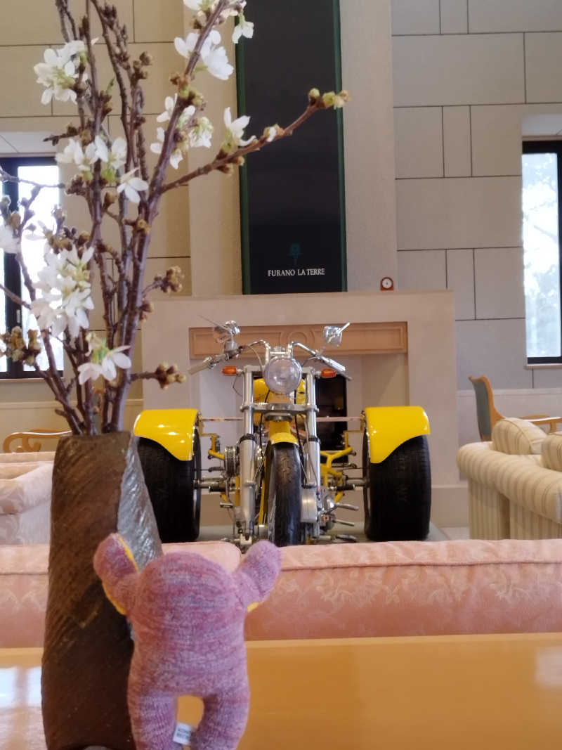 ひなこさんの天然温泉 万華の湯 (ふらのラテール)のサ活写真