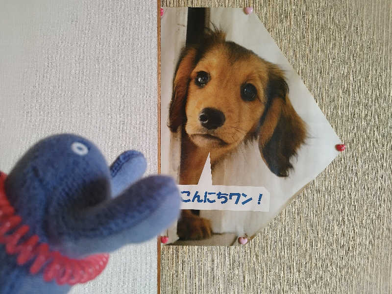 ひなこさんのえべおつ温泉ホテルのサ活写真