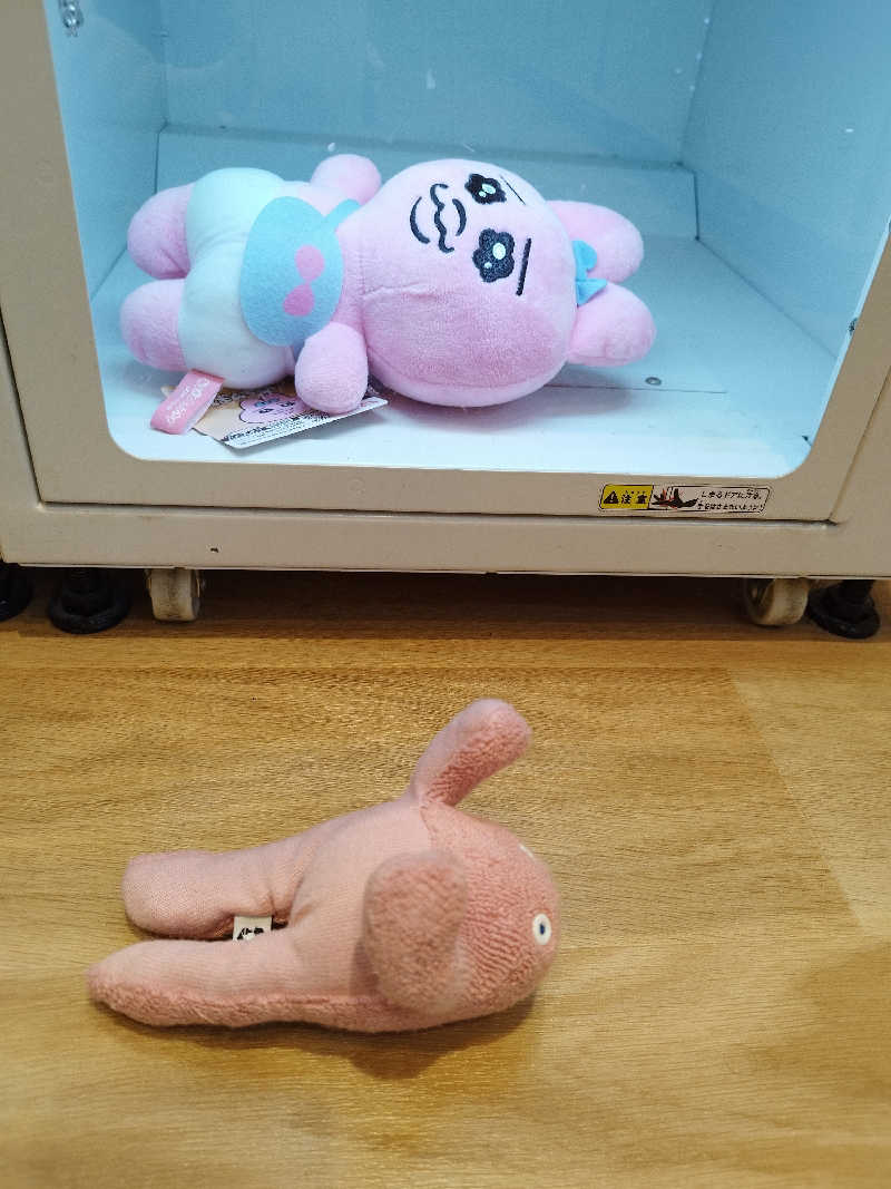 ひなこさんの天然温泉 湯～ねるのサ活写真