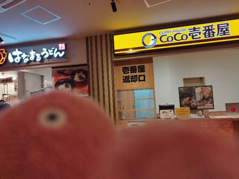 ひなこさんの天然温泉 湯～ねるのサ活写真
