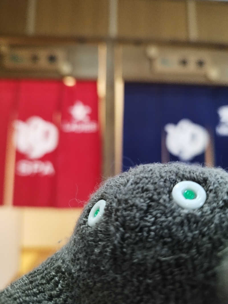 ひなこさんの赤平市 保養センターエルム高原温泉・ゆったりのサ活写真