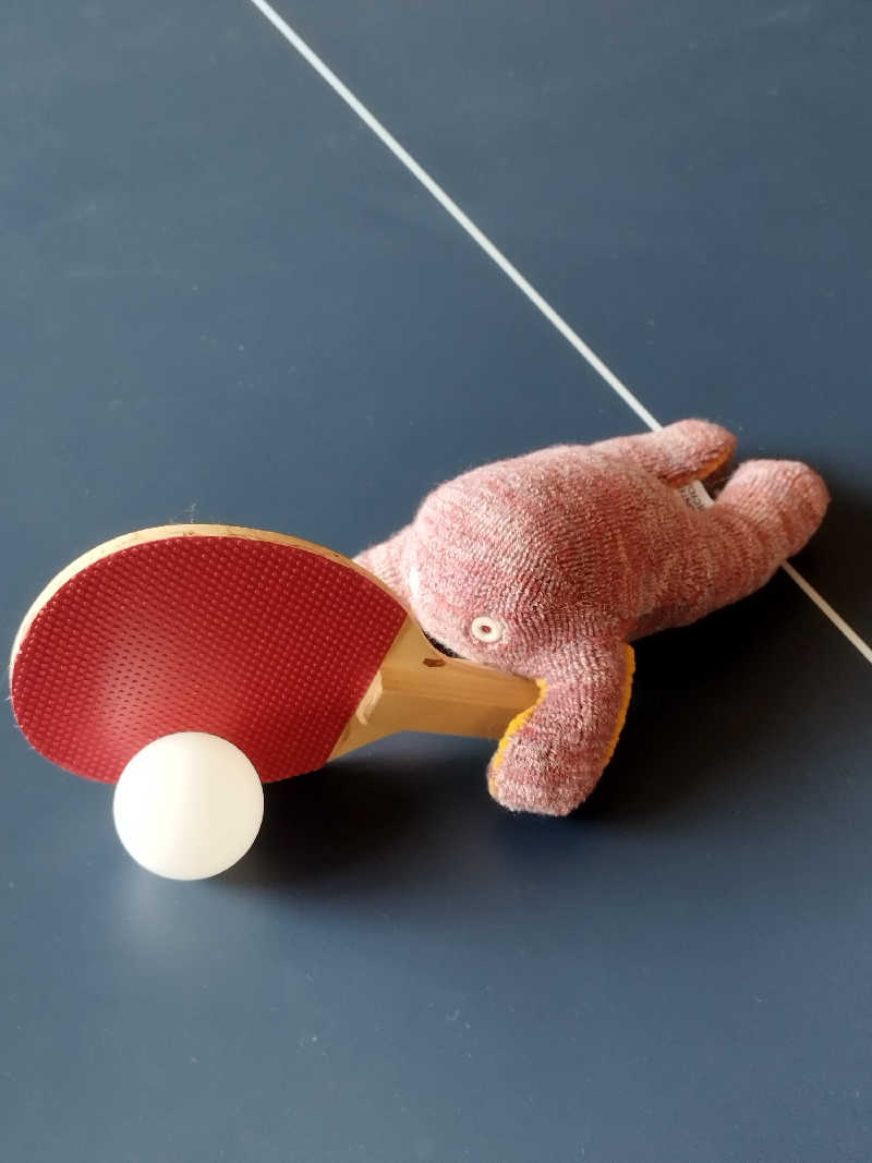 ひなこさんの雲海の里かもい岳のサ活写真