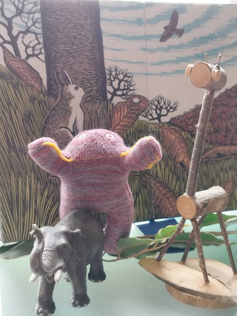 ひなこさんの雲海の里かもい岳のサ活写真