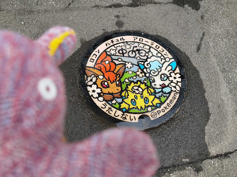 ひなこさんの雲海の里かもい岳のサ活写真