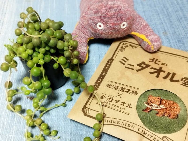 ひなこさんの雲海の里かもい岳のサ活写真