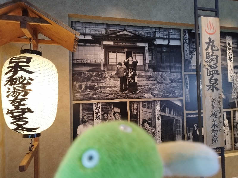 ひなこさんの湖畔の宿支笏湖 丸駒温泉旅館のサ活写真
