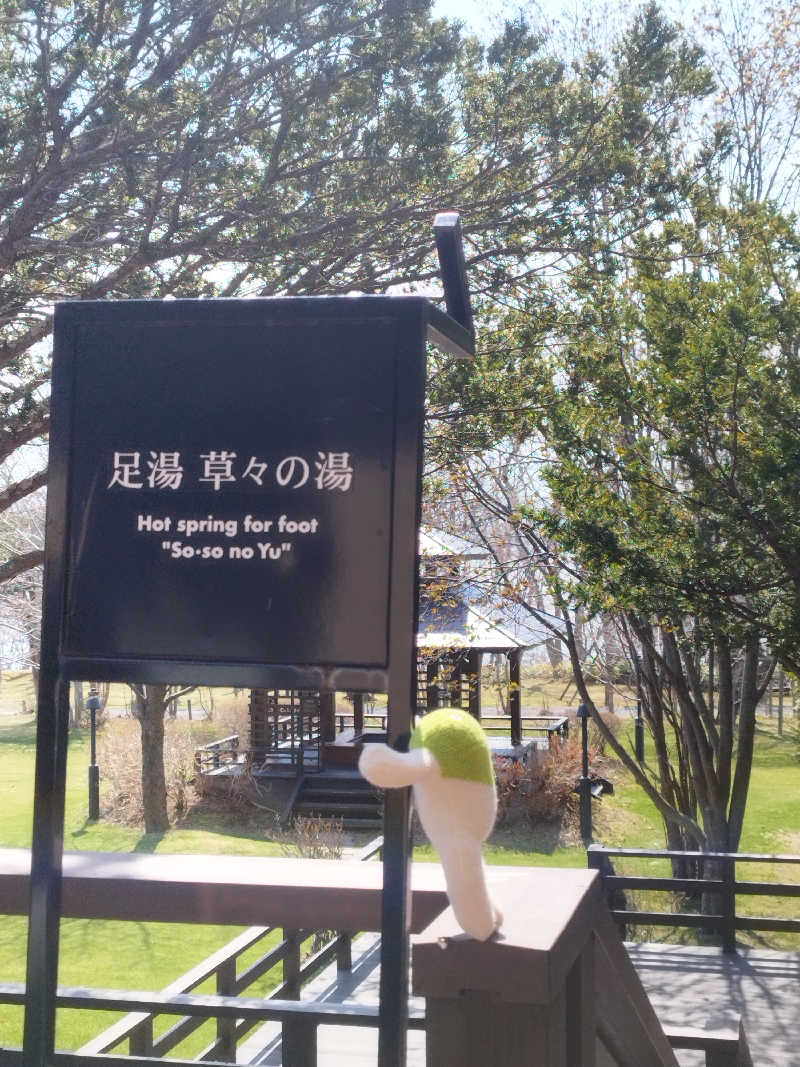 ひなこさんの湖畔の宿支笏湖 丸駒温泉旅館のサ活写真