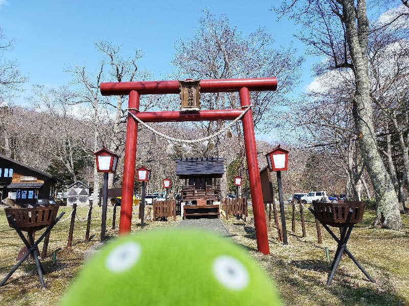 ひなこさんの湖畔の宿支笏湖 丸駒温泉旅館のサ活写真