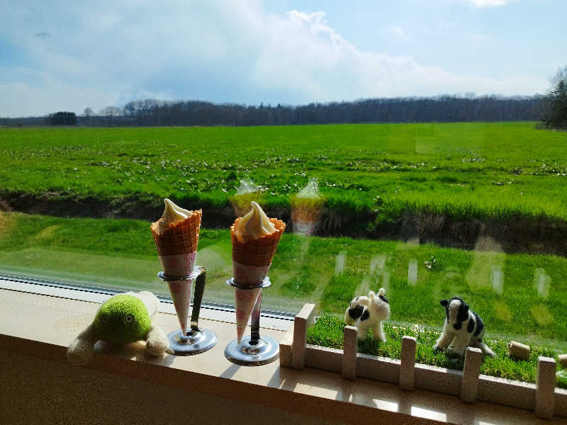 ひなこさんの湖畔の宿支笏湖 丸駒温泉旅館のサ活写真
