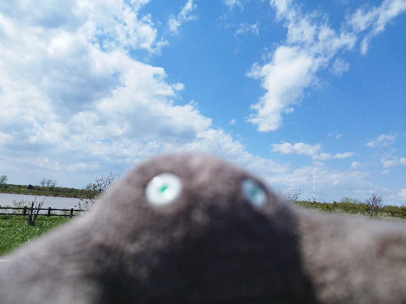 ひなこさんのなんぽろ温泉ハート&ハートのサ活写真
