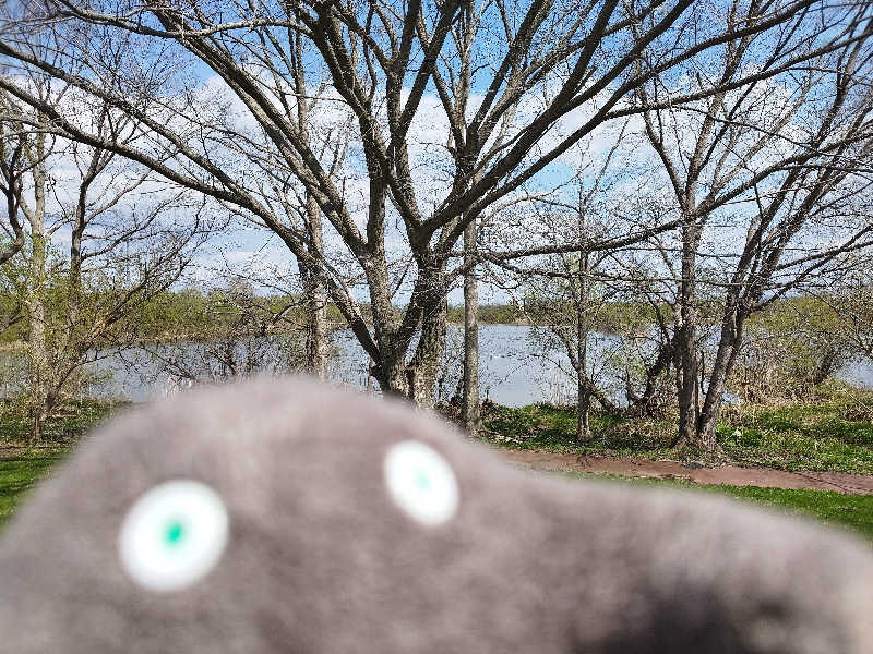 ひなこさんのなんぽろ温泉ハート&ハートのサ活写真