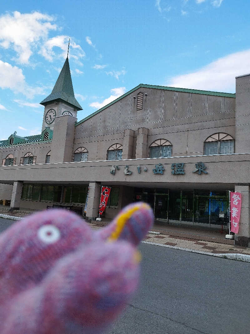 ひなこさんの雲海の里かもい岳のサ活写真