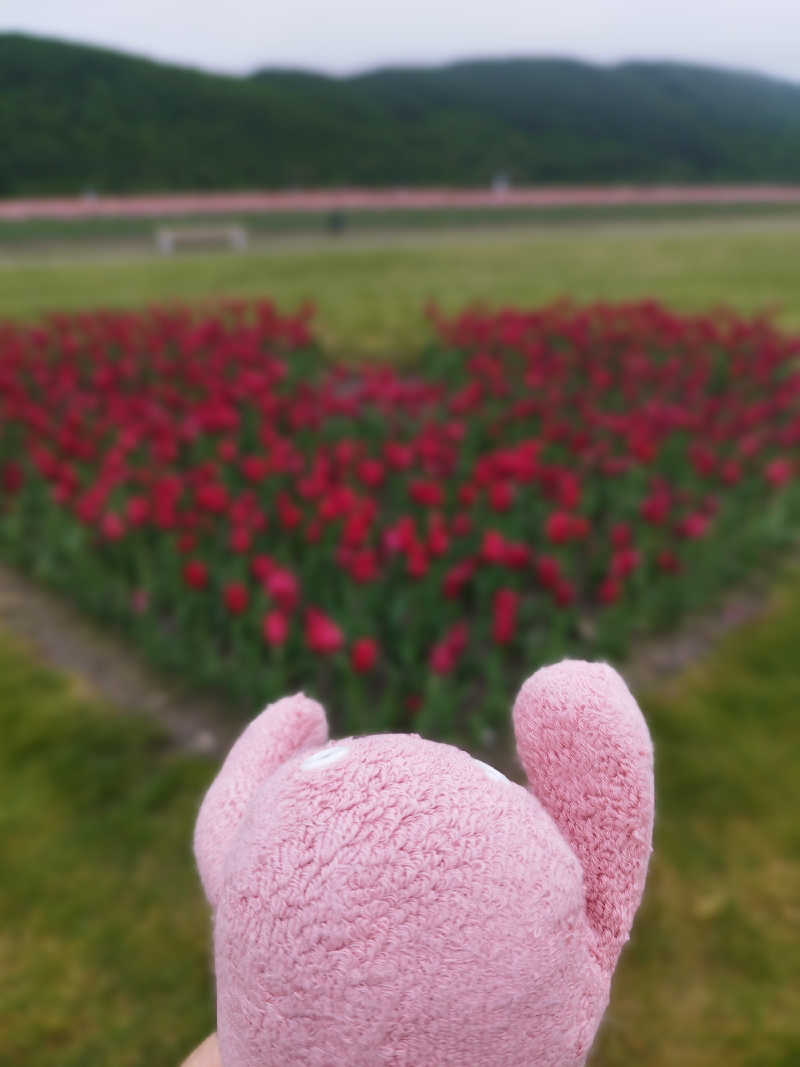 ひなこさんの道の駅 かみゆうべつ温泉チューリップの湯のサ活写真