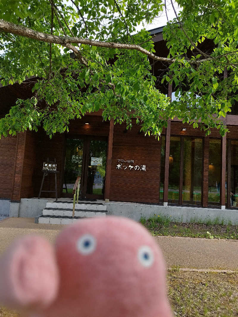 ひなこさんの日帰り入浴施設マウレ山荘ポッケの湯のサ活写真