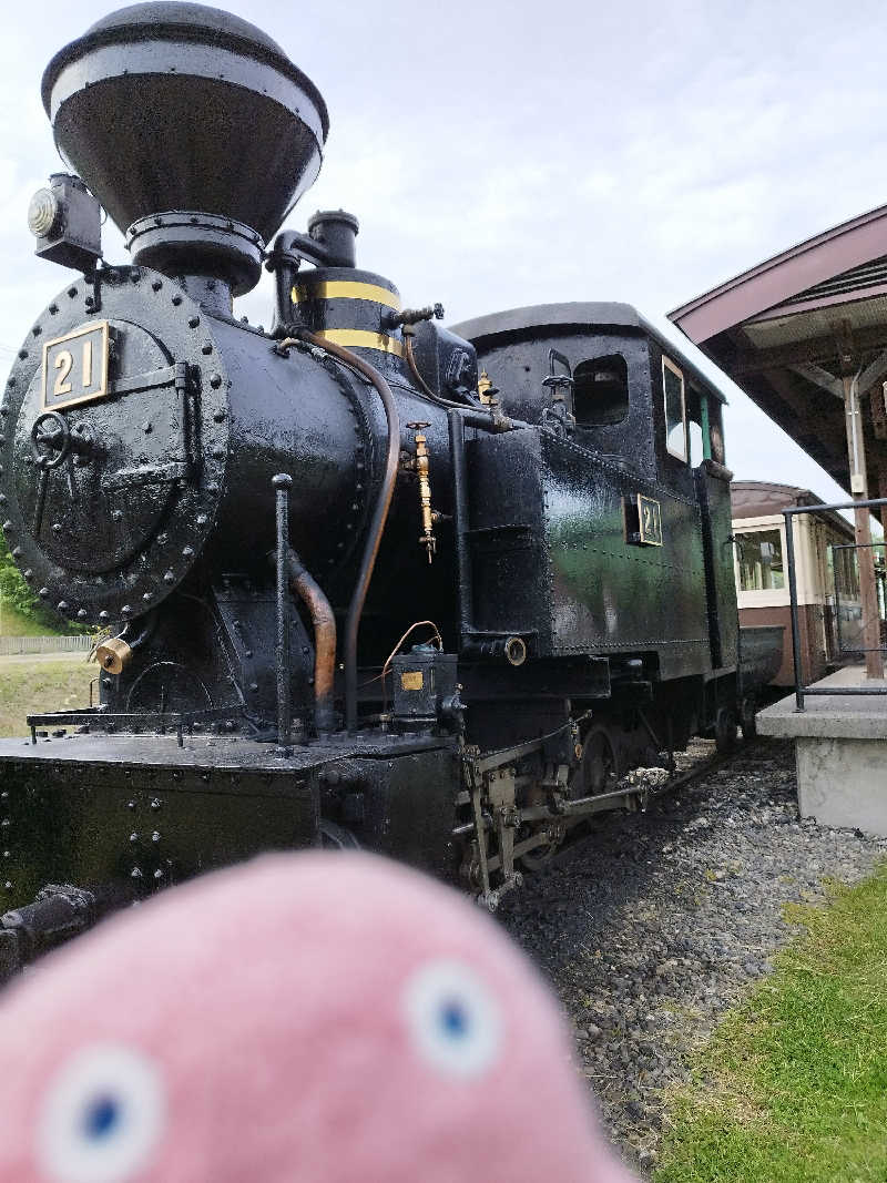 ひなこさんの日帰り入浴施設マウレ山荘ポッケの湯のサ活写真