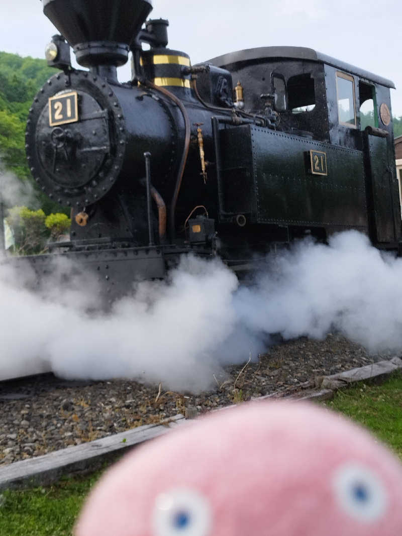 ひなこさんの日帰り入浴施設マウレ山荘ポッケの湯のサ活写真