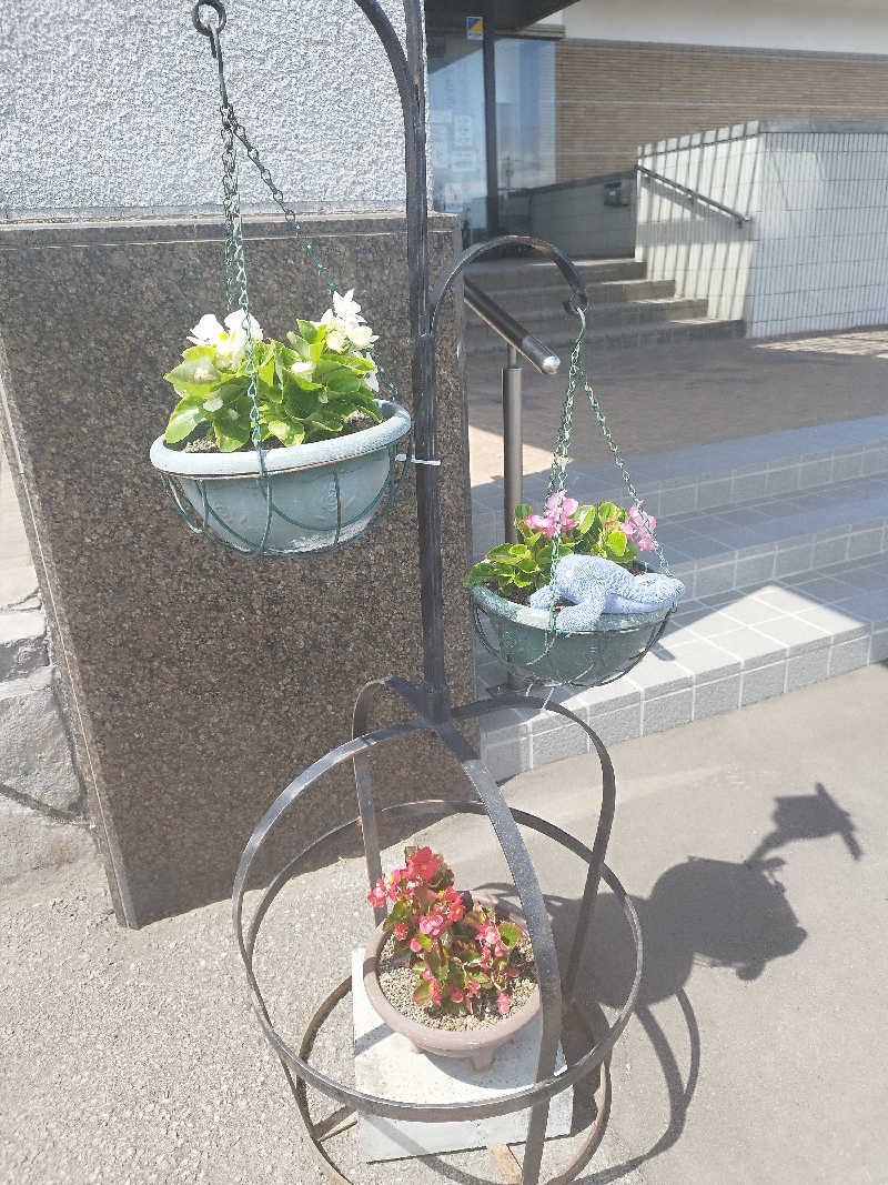 ひなこさんの妹背牛温泉ペペルのサ活写真