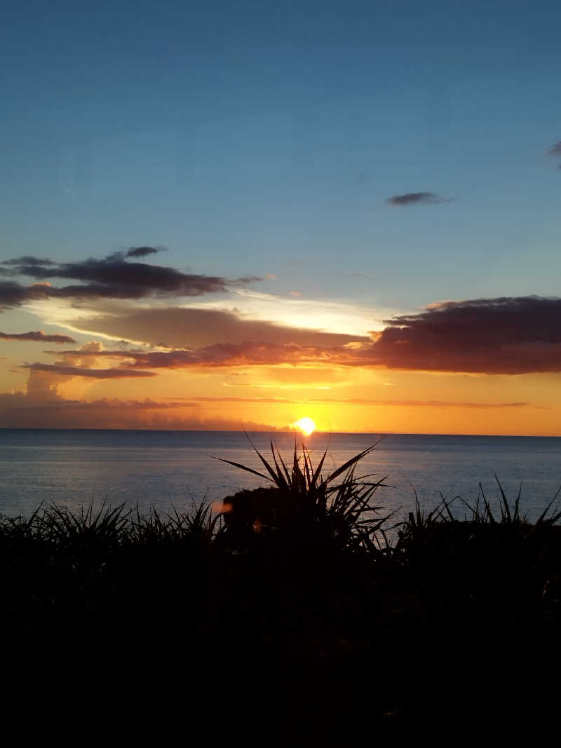 ひなこさんのホテル コレクティブのサ活写真