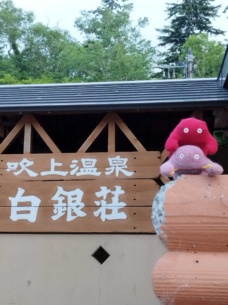 ひなこさんの吹上温泉保養センター 白銀荘のサ活写真