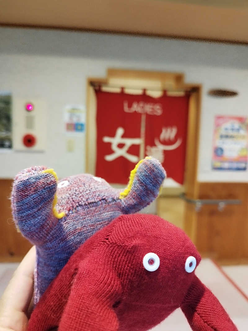 ひなこさんの吹上温泉保養センター 白銀荘のサ活写真