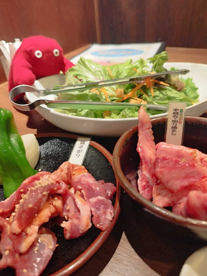 ひなこさんの吹上温泉保養センター 白銀荘のサ活写真