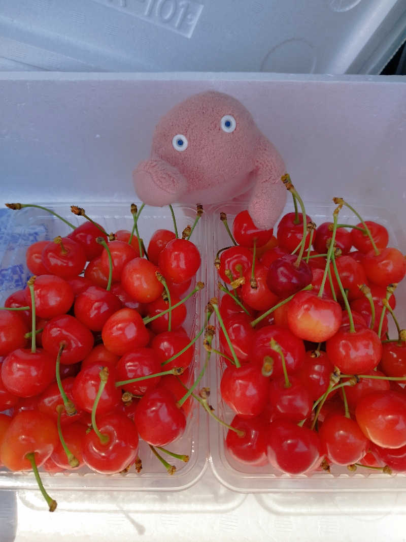 ひなこさんのホテル神居岩のサ活写真