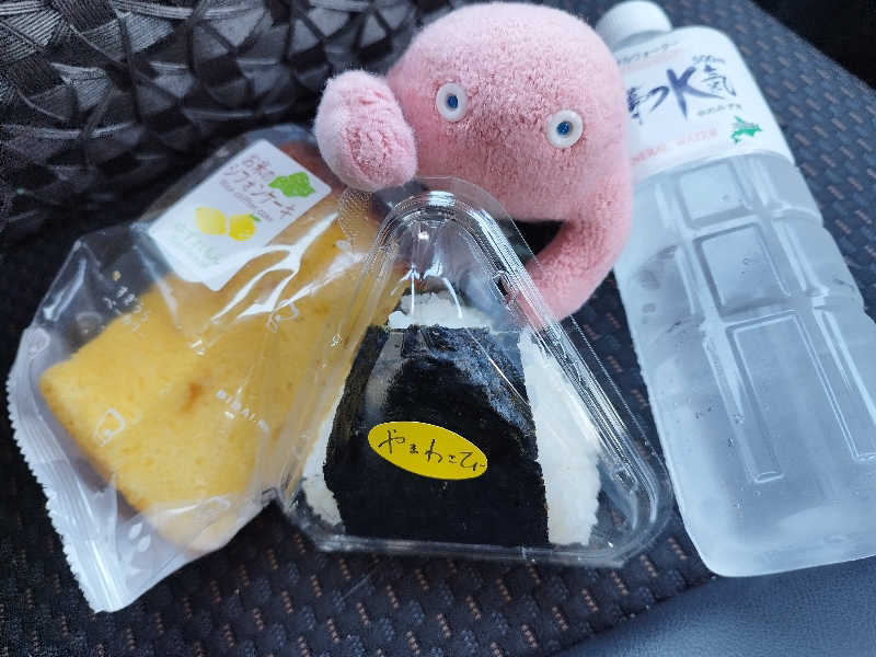 ひなこさんのホテル神居岩のサ活写真