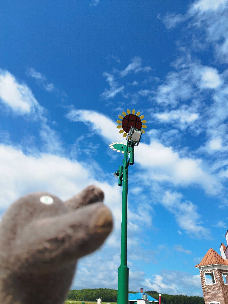 ひなこさんのサンフラワーパークホテルのサ活写真