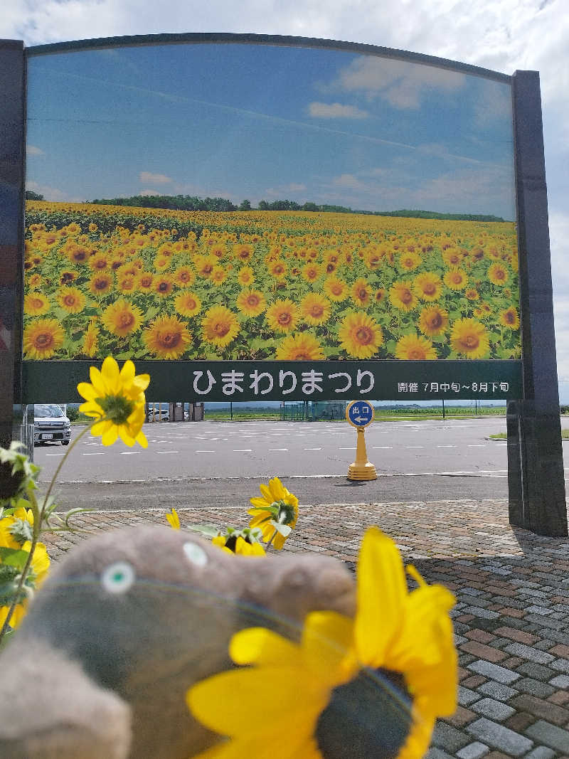 ひなこさんのサンフラワーパークホテルのサ活写真