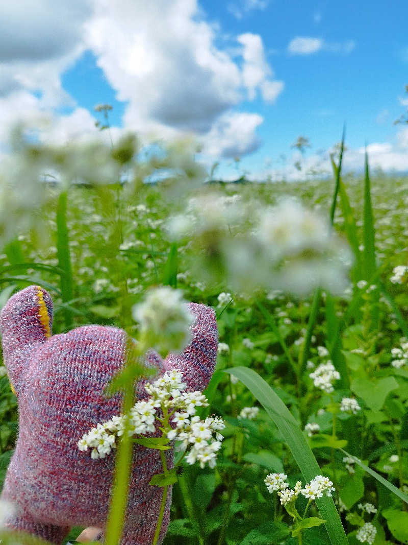 ひなこさんの妹背牛温泉ペペルのサ活写真