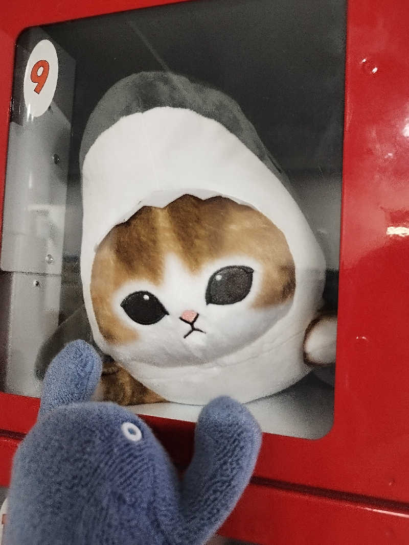 ひなこさんのチロルの湯のサ活写真