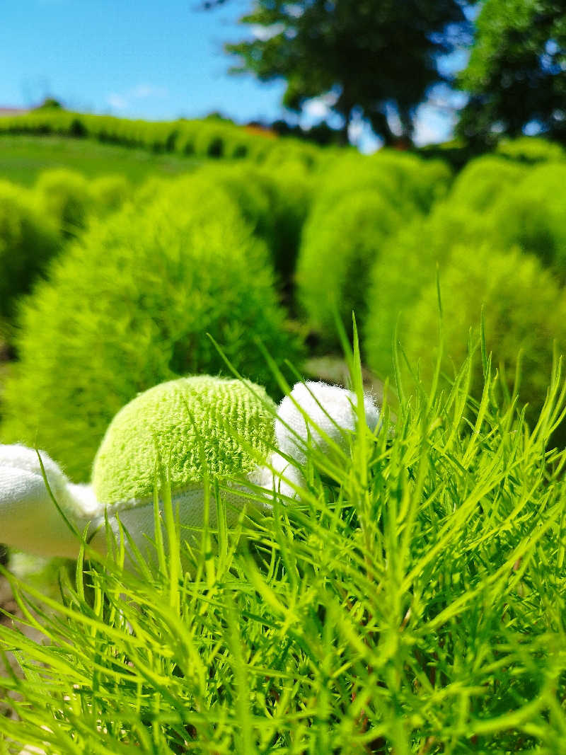 ひなこさんのシャトレーゼカントリークラブ 栗山のサ活写真