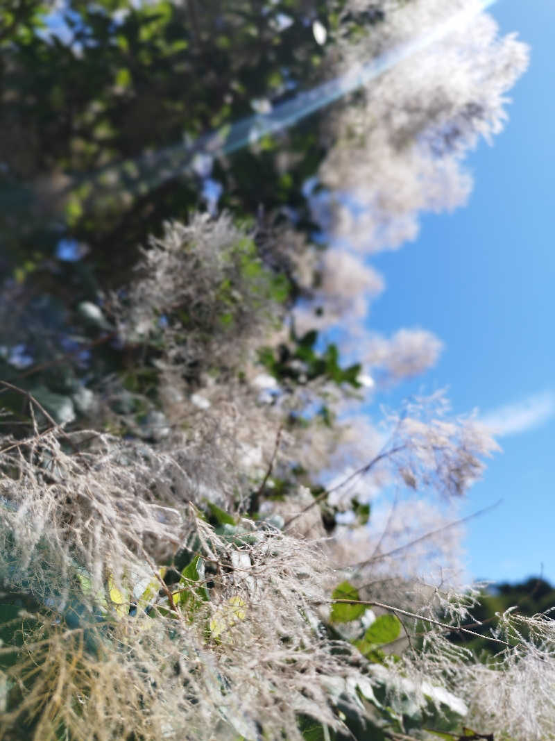 ひなこさんのシャトレーゼカントリークラブ 栗山のサ活写真