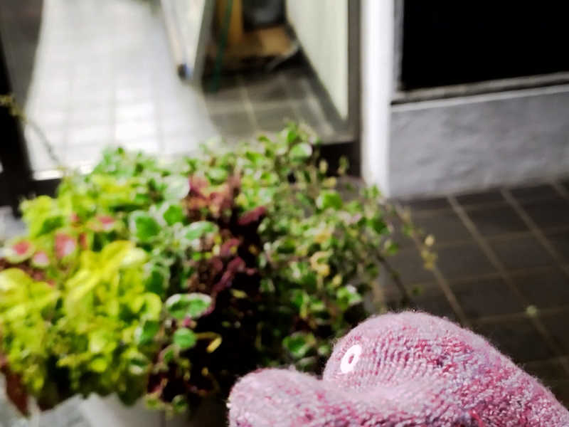 ひなこさんのチロルの湯のサ活写真