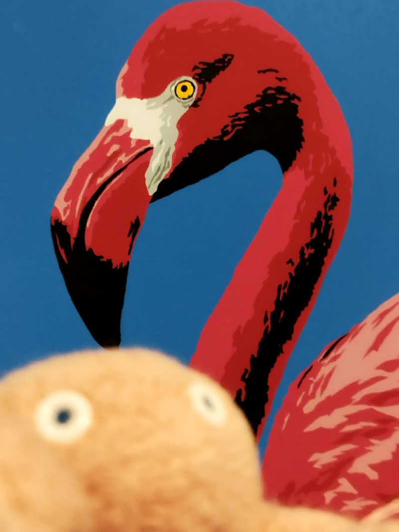 ひなこさんのOMO7旭川(おも) by 星野リゾート サウナプラトーのサ活写真