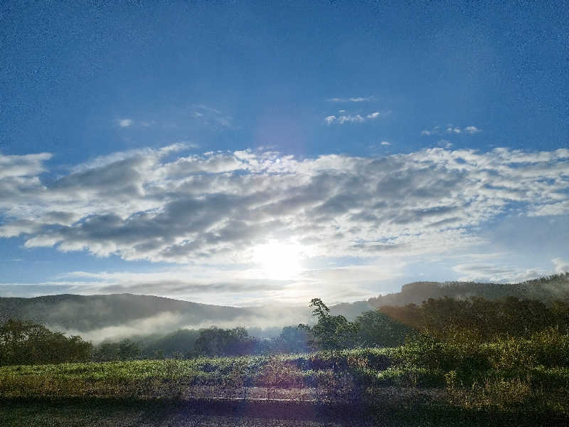 ひなこさんの朝陽リゾートホテルのサ活写真