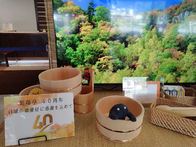 ひなこさんの朝陽リゾートホテルのサ活写真