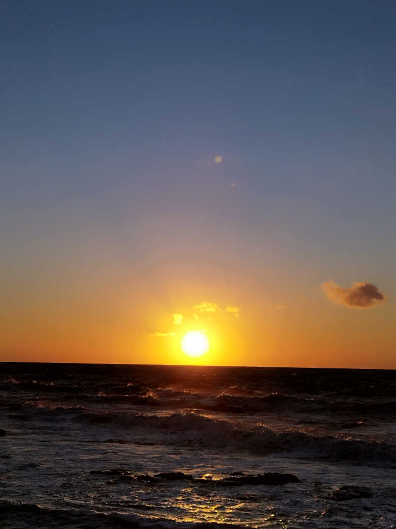 ひなこさんのしょさんべつ温泉 ホテル 岬の湯のサ活写真