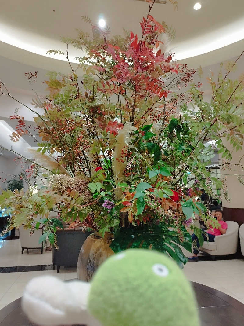 ひなこさんのJRタワーホテル日航札幌 スカイリゾートスパプラウブランのサ活写真