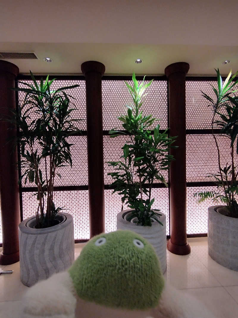 ひなこさんのJRタワーホテル日航札幌 スカイリゾートスパプラウブランのサ活写真