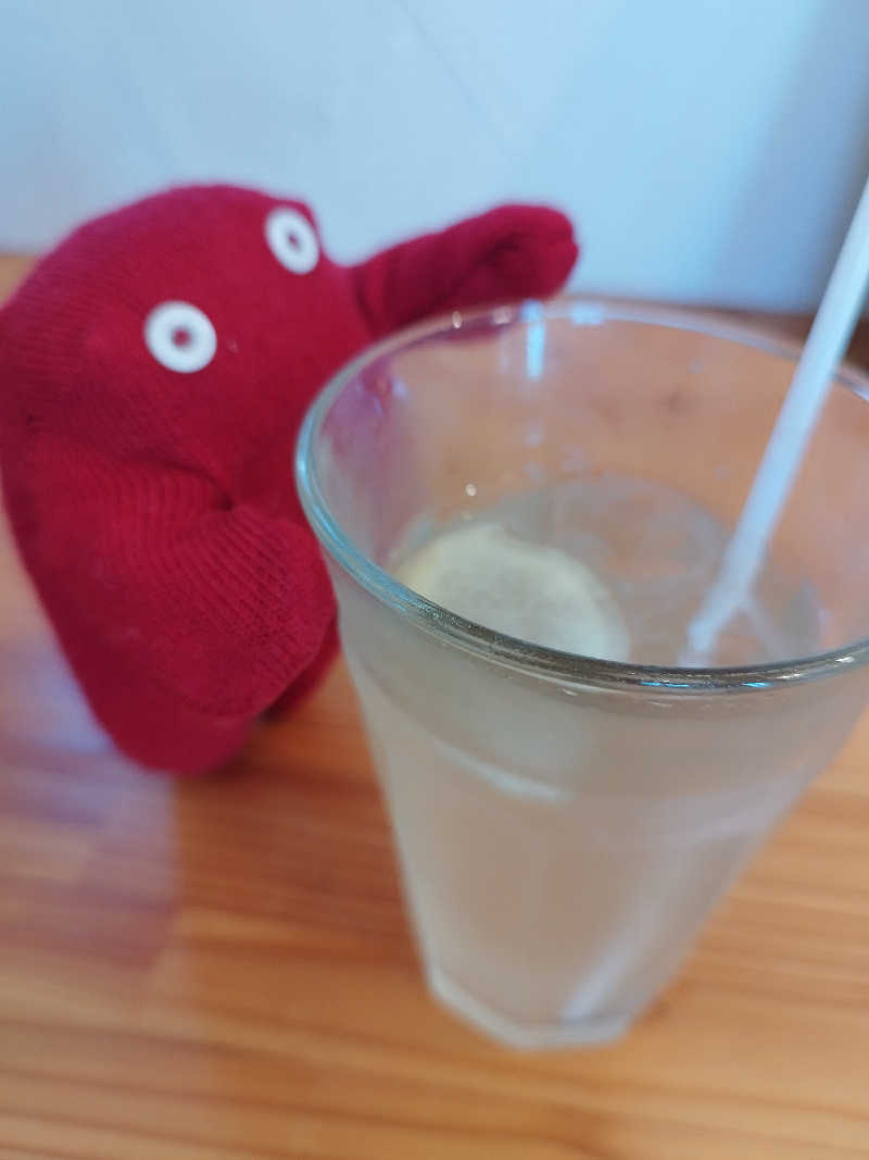 ひなこさんのフロンティア フラヌイ温泉のサ活写真