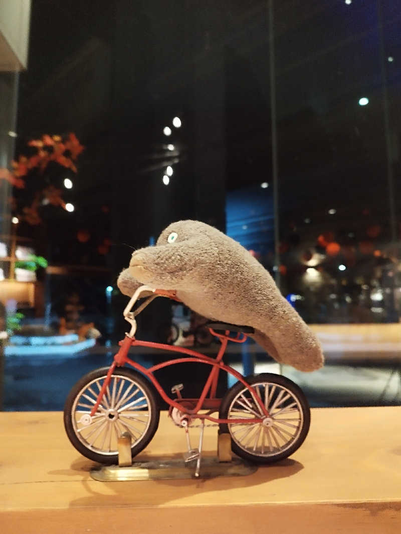 ひなこさんの芦別温泉 おふろcafé 星遊館 (芦別温泉スターライトホテル)のサ活写真