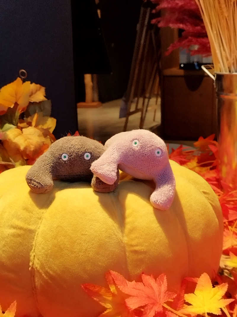 ひなこさんの芦別温泉 おふろcafé 星遊館 (芦別温泉スターライトホテル)のサ活写真