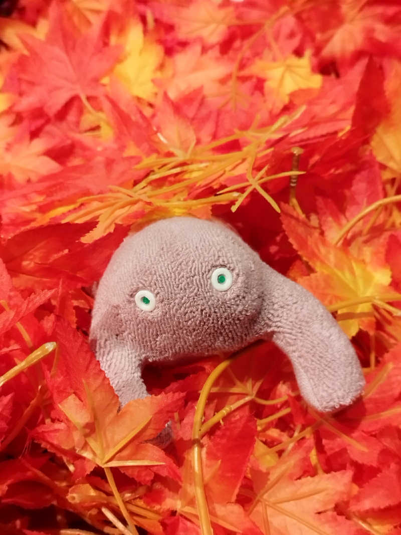 ひなこさんの芦別温泉 おふろcafé 星遊館 (芦別温泉スターライトホテル)のサ活写真