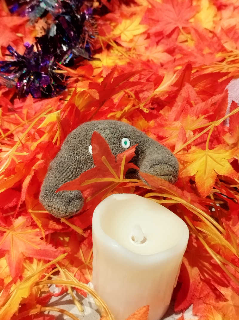 ひなこさんの芦別温泉 おふろcafé 星遊館 (芦別温泉スターライトホテル)のサ活写真