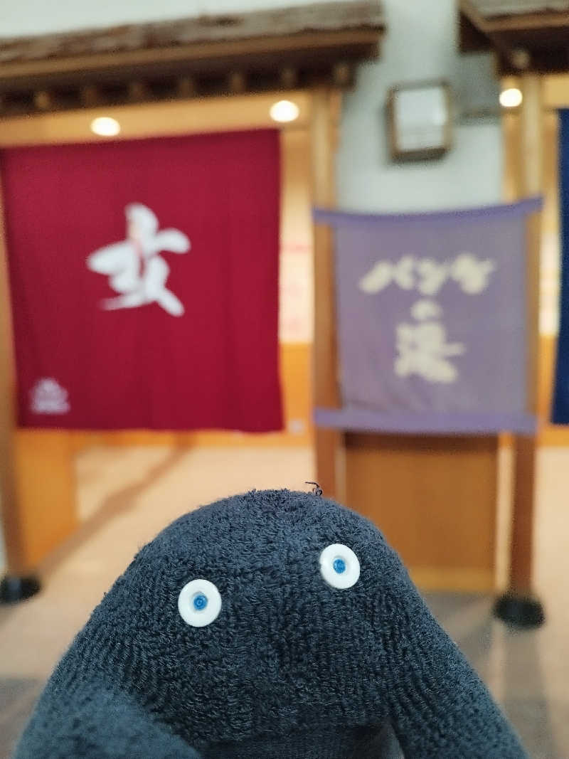 ひなこさんのパンケの湯のサ活写真