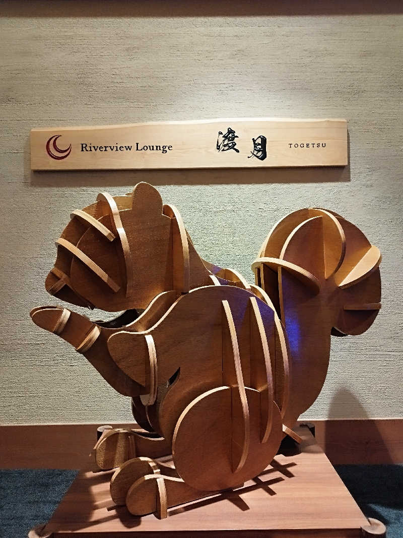 ひなこさんの十勝川温泉 観月苑のサ活写真